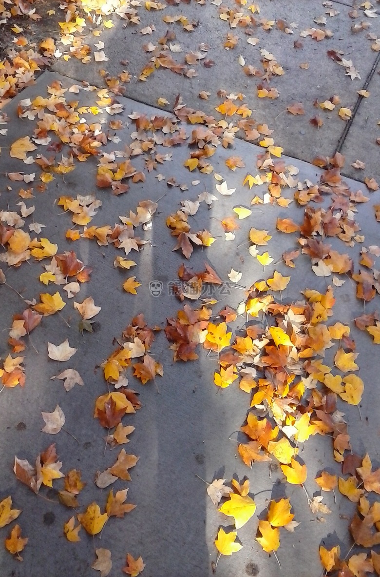 角 忙碌的 粉笔