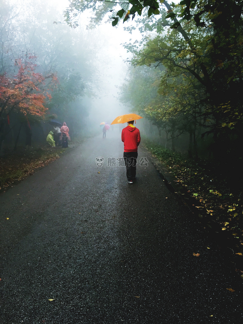 男人 雨 路