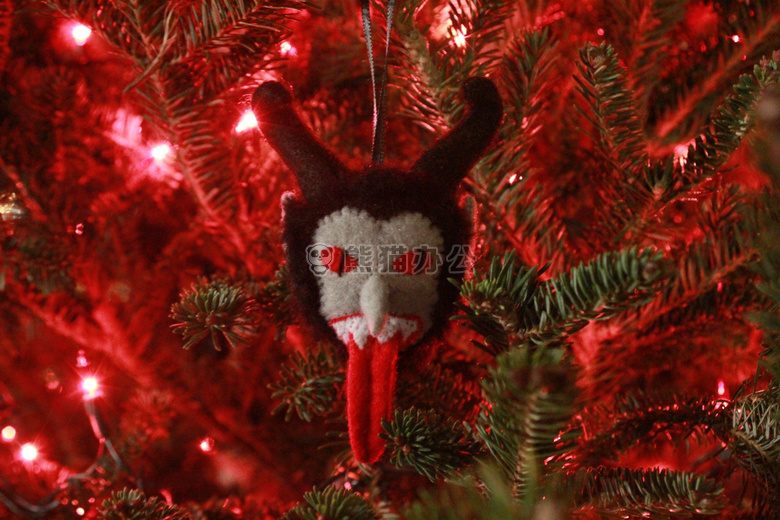 圣诞节 树 假日