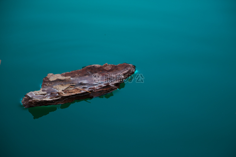 树皮 浮动 水