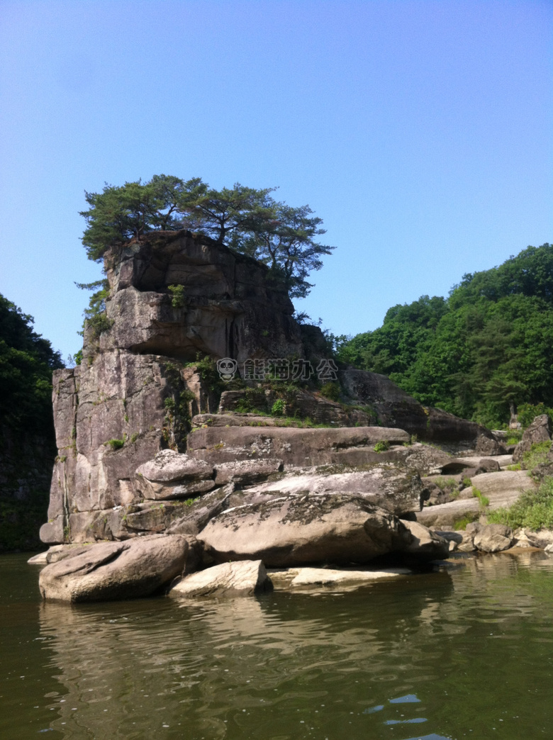 蓝色 天空 森林