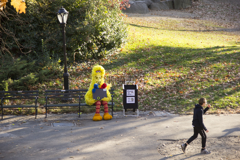 大的 鸟 中心的