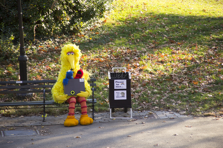 大的 鸟 中心的