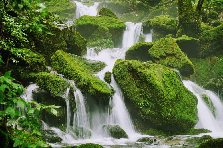 绿色青苔瀑布水流图片