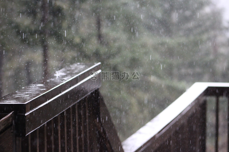 森林 雨 下雨