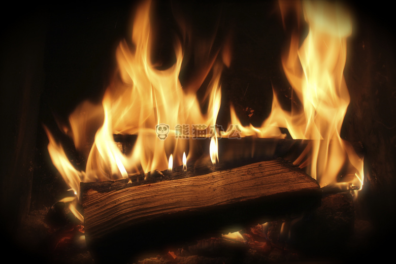 火 壁炉 柴