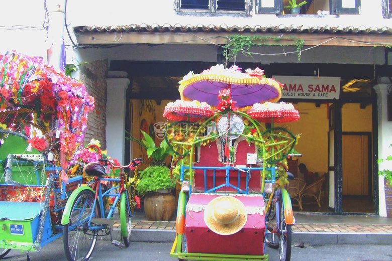 自行车 花 生活