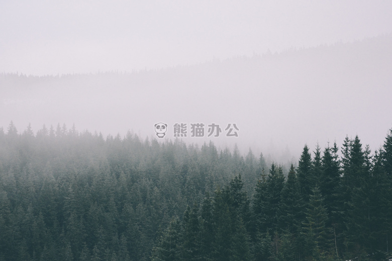 冒险 雾 森林