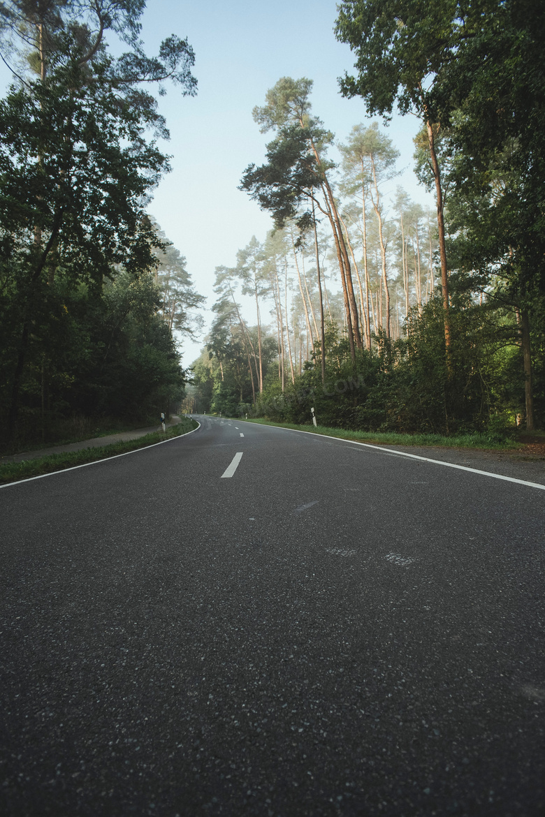 植物公园公路图片