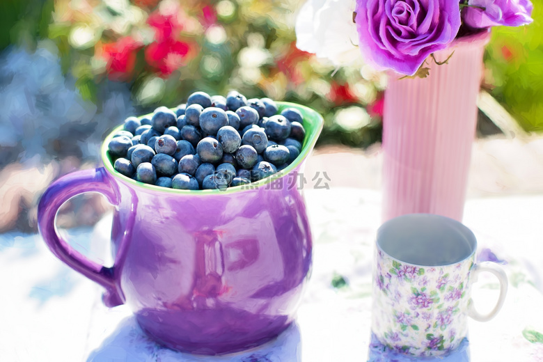 浆果 蓝莓 花