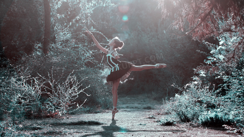 芭蕾形体动作图片