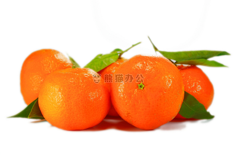 柑橘 克莱门蒂娜 水果