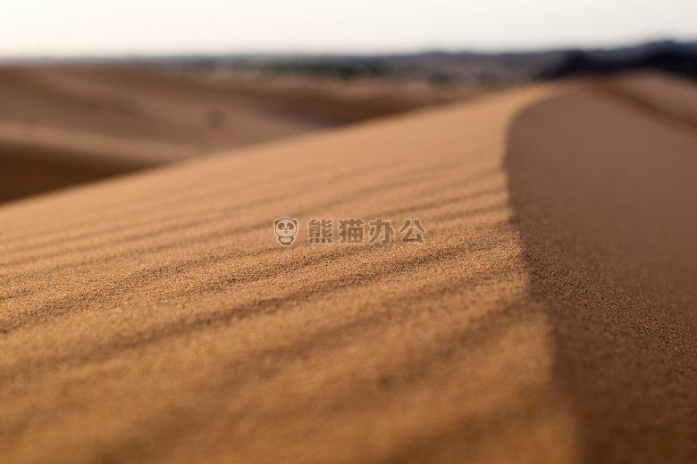 沙漠 沙丘 集中