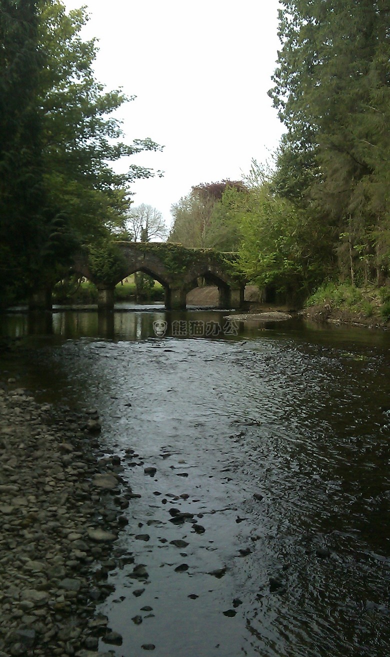 桥 河 河边
