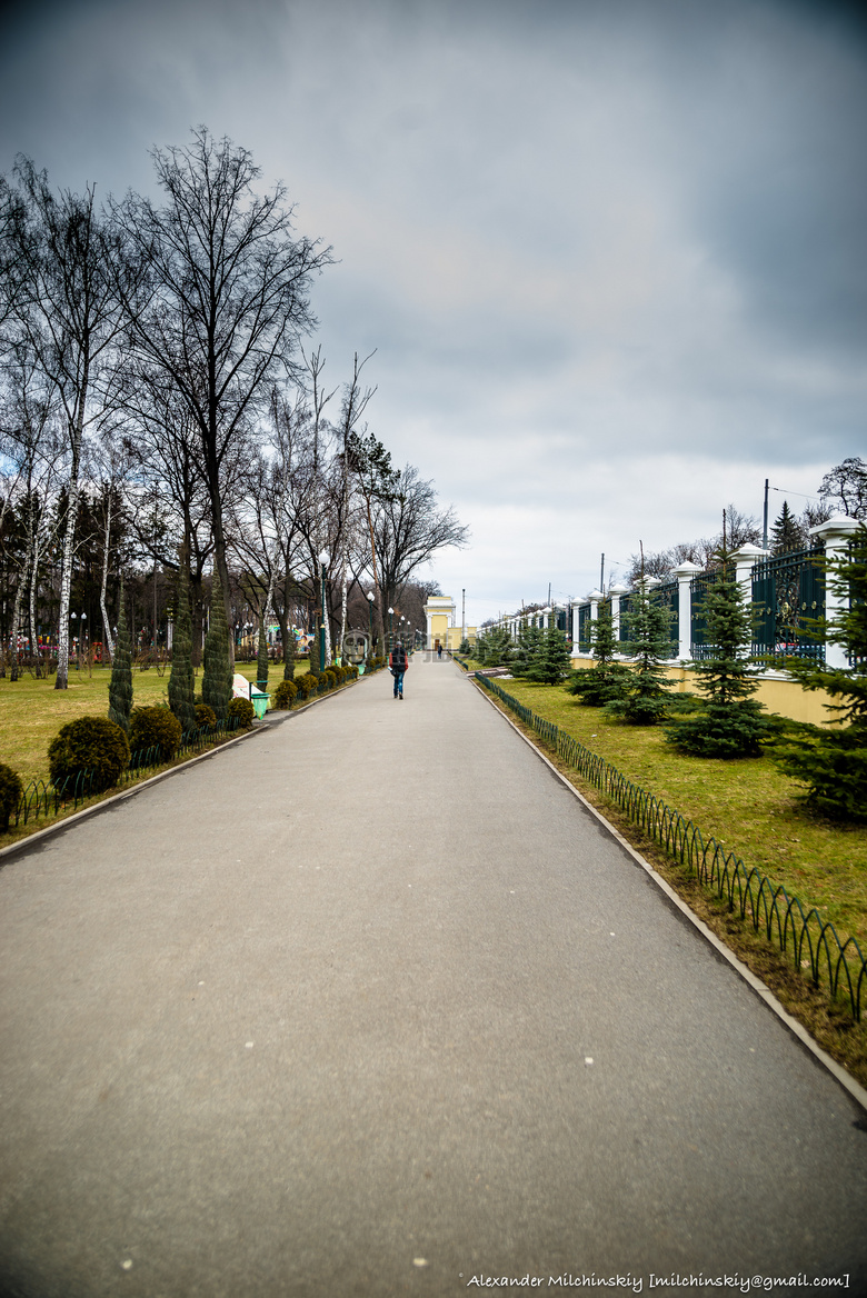深的 天空 gorkypark