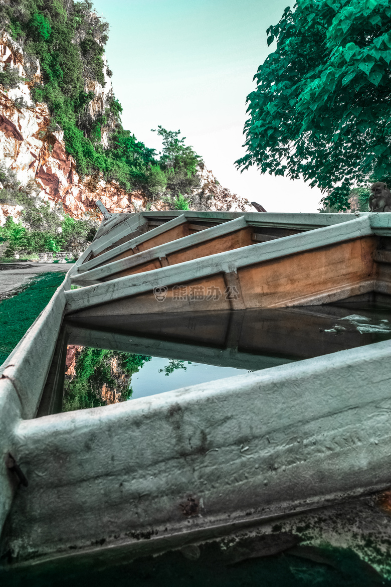 被遗弃的 船 猴子