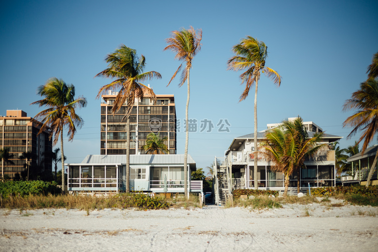 海滩 海岸 酒店