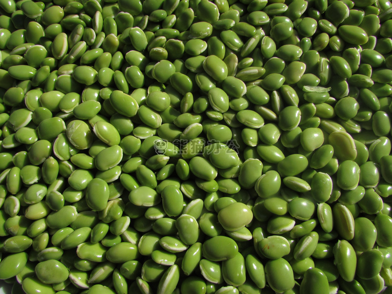 豆 可食用的 绿色