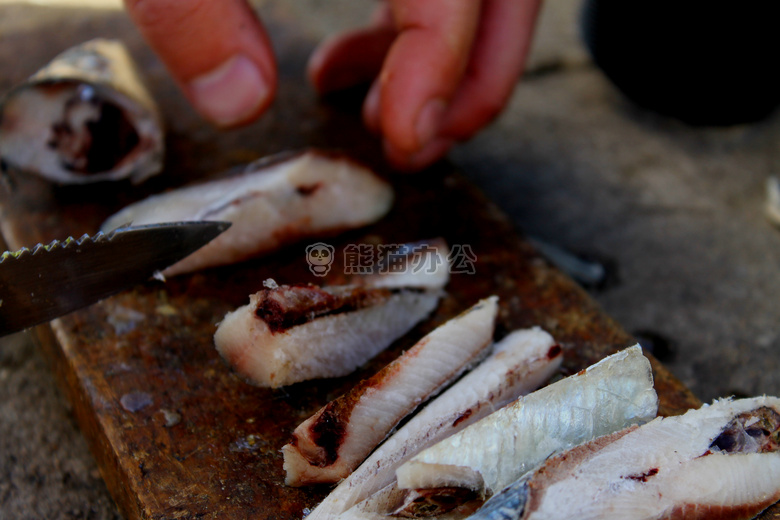 钓鱼 诱饵 沙丁鱼