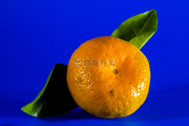 柑橘 水果 普通话