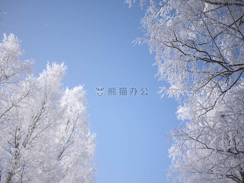 天空 雪 瑞典