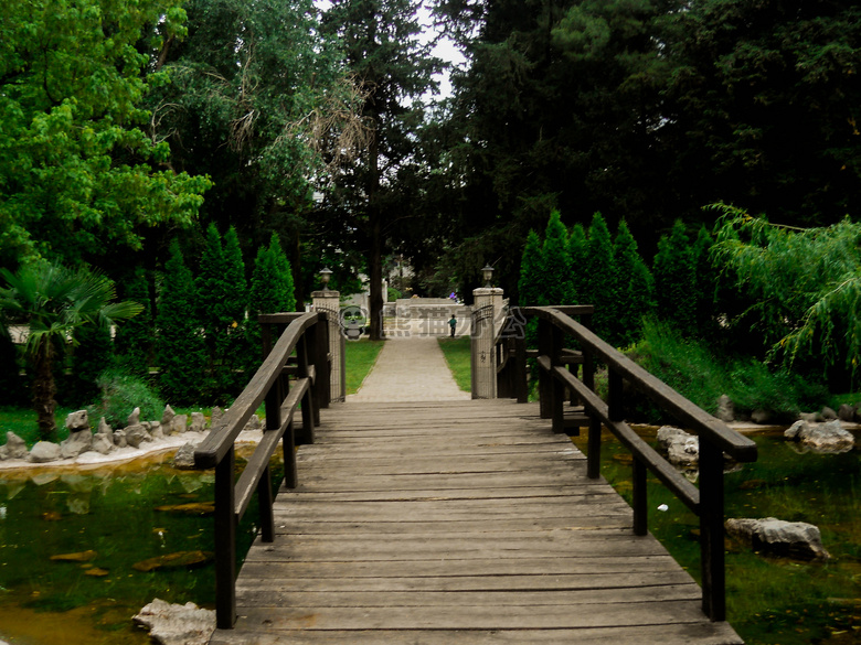 桥 自然 公园