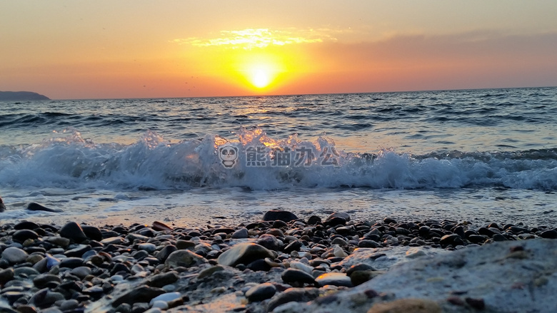 海 日落 火鸡