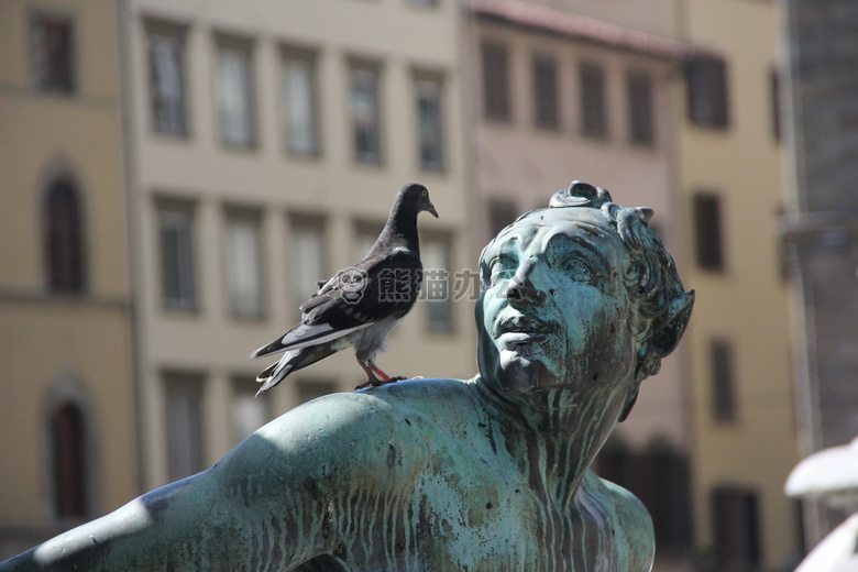 青铜 鸽子 雕像