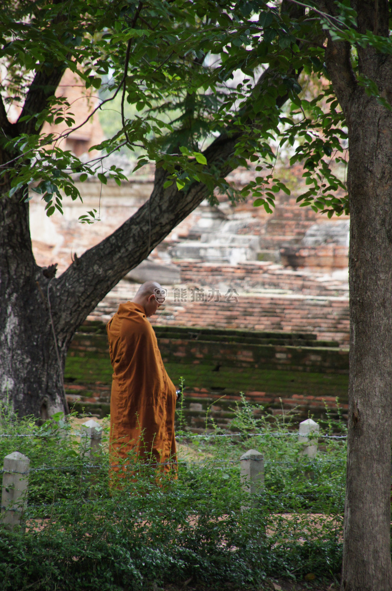 佛教 修道院 和尚