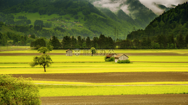 乡村 领域 景观