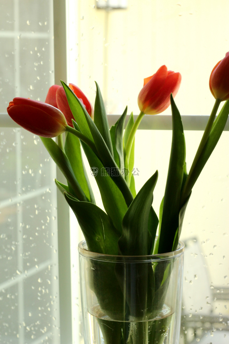 花 雨 花瓶