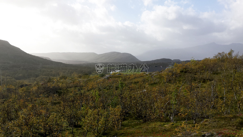 森林 山 挪威