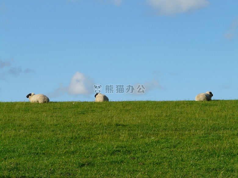 寒冷 外面的 关注