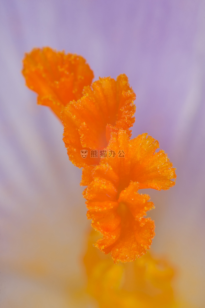 花 宏 自然