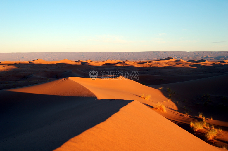 黎明 沙漠 沙丘
