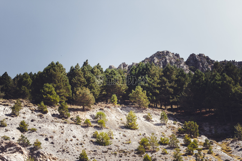 安达卢西亚 云 森林