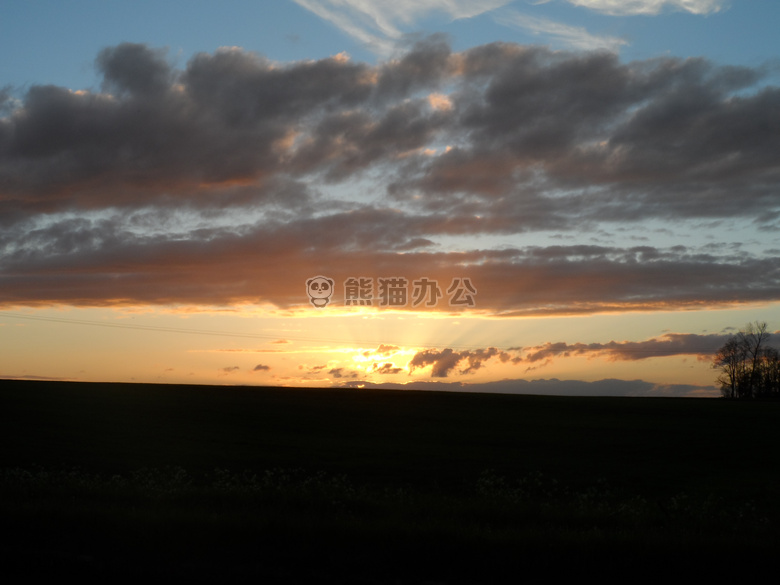 假日 自然 日落
