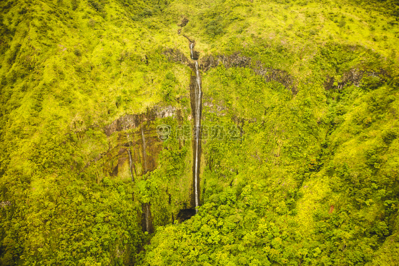 森林 景观 山