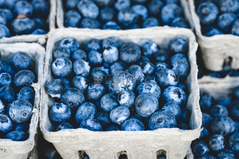 浆果 蓝色 蓝莓