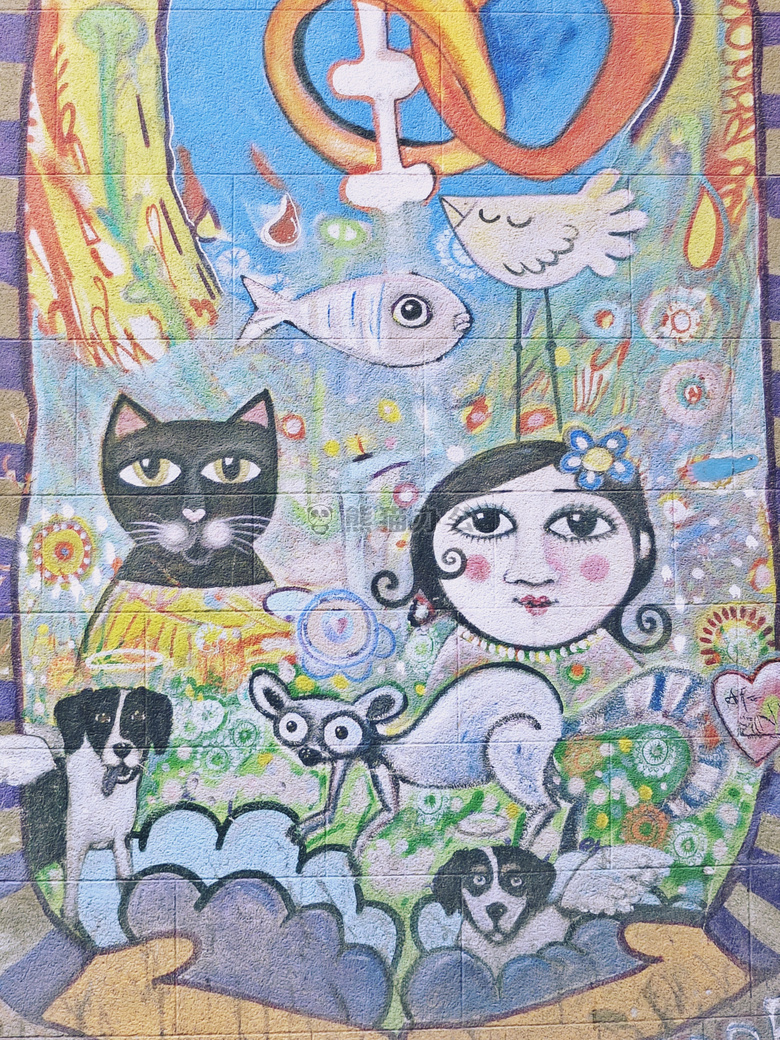 猫 丰富多彩的 朋友