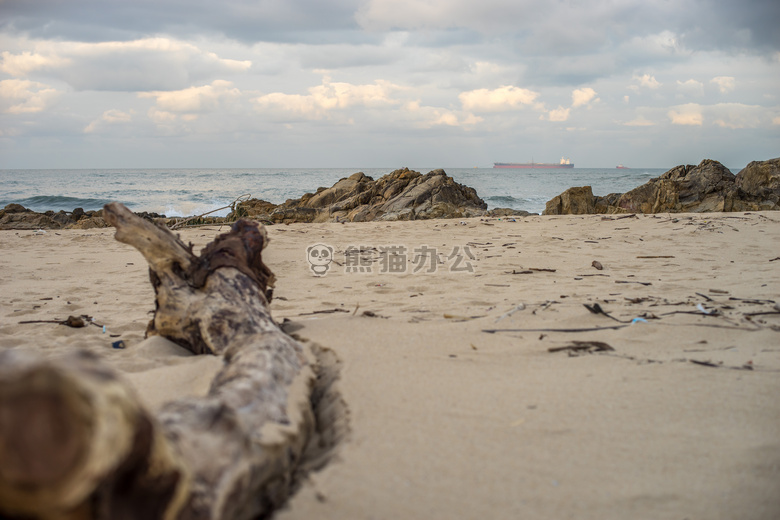 海滩 乐 大的帕尔梅拉