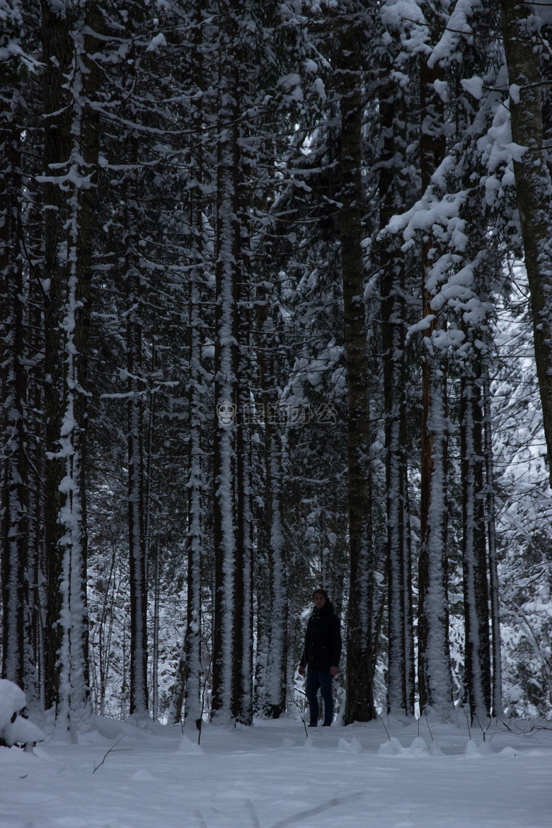 徒步旅行 雪 冬天
