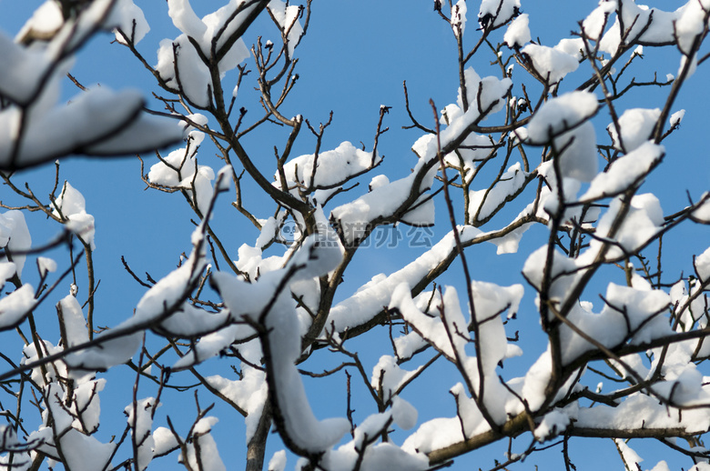 蓝色 天空 雪