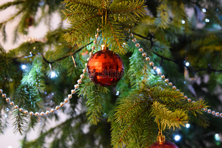 圣诞节 装饰 树