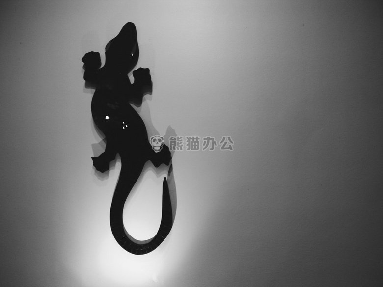 黑色 装饰品 动物