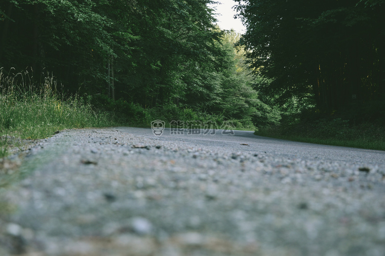 森林 路 道路