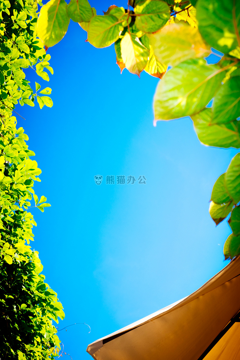 法国