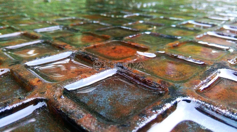 雨 锈 潮湿的