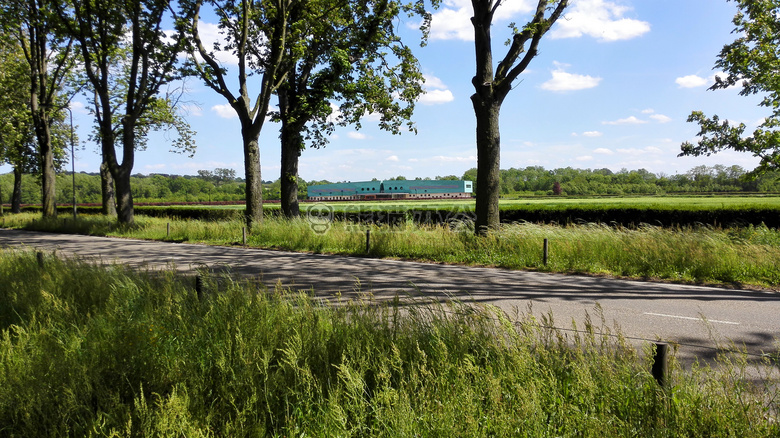 火化 艾斯登 马斯特里赫特