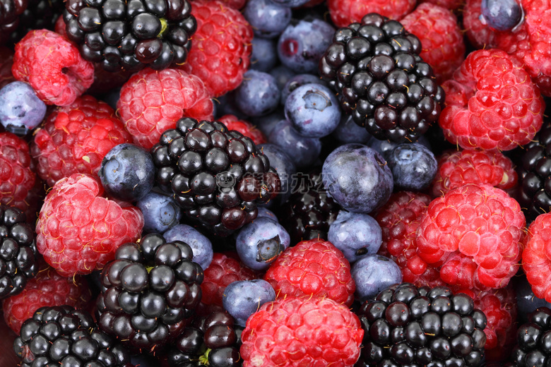浆果 黑莓 蓝莓